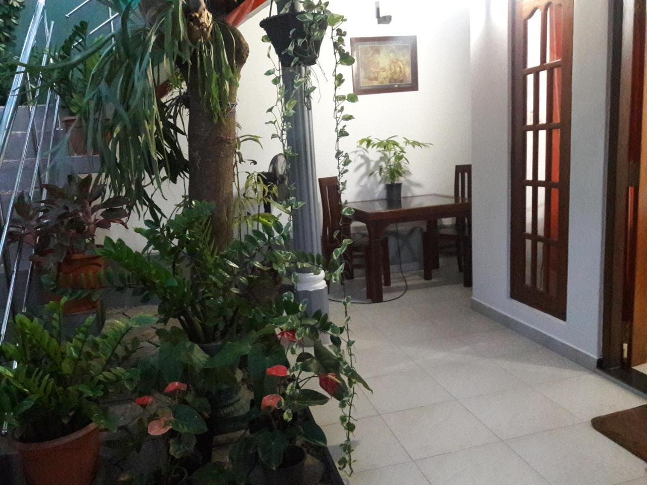 Aayu'S Guest Hotel Bentota Ngoại thất bức ảnh